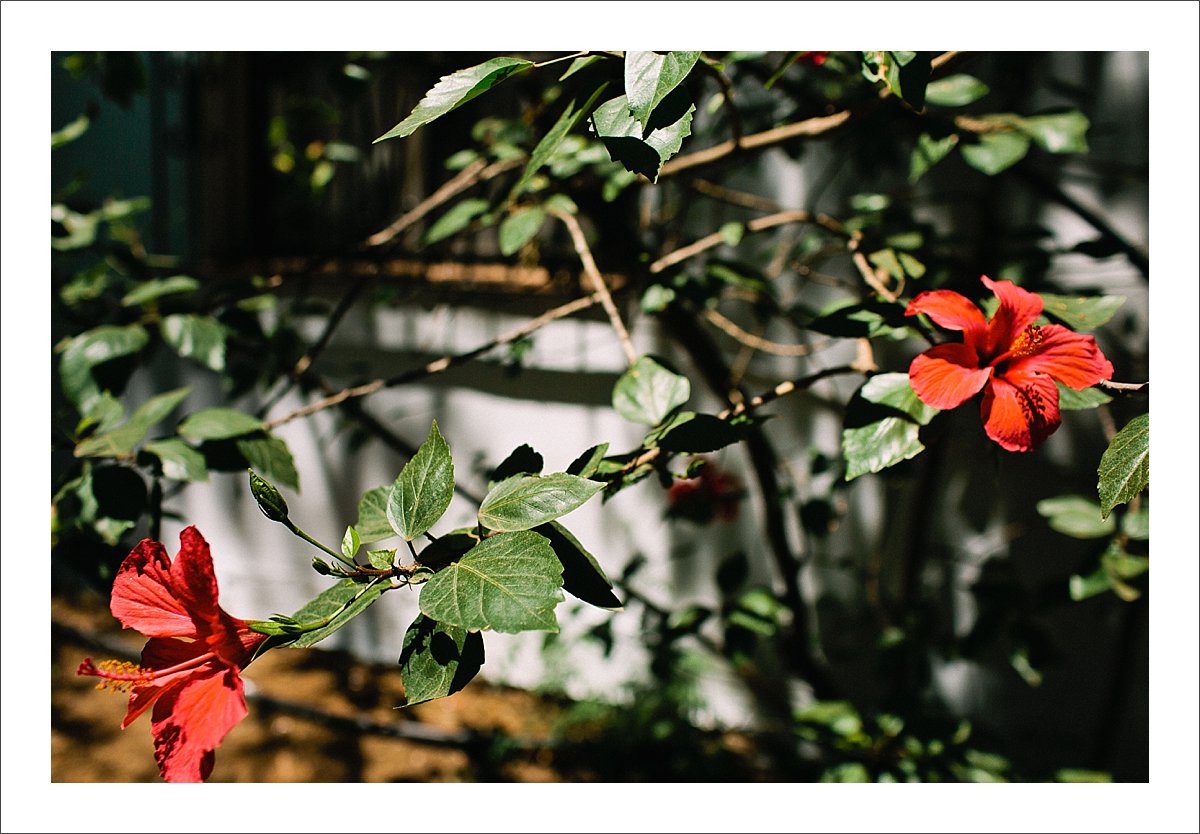 documentary wedding photographer spain