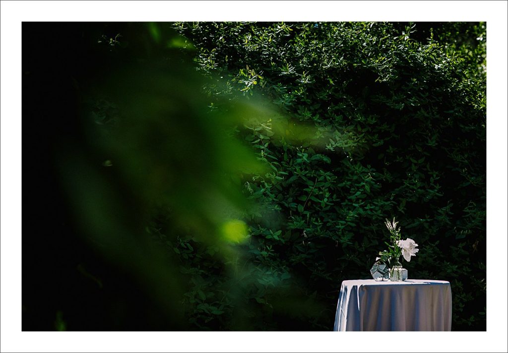 wedding photographer Marbella