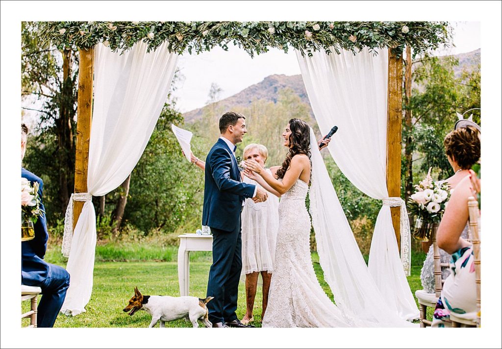 Bride and Groom Portraits