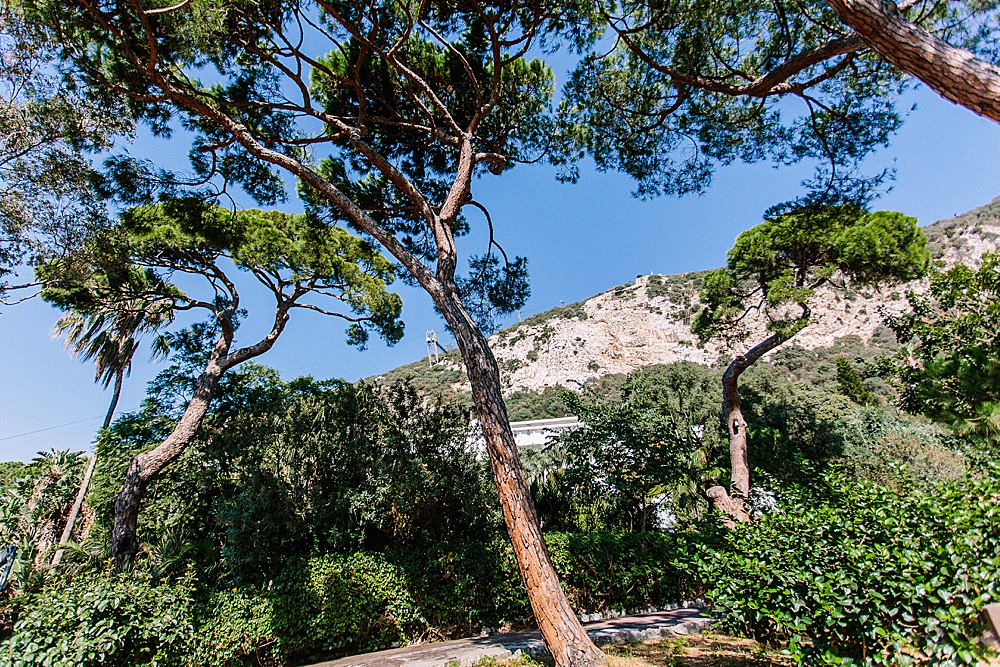 Alameda Gardens wedding Gibraltar